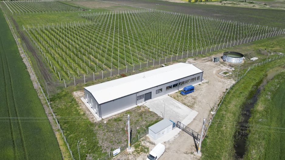 Oportunitate investiție: Livadă de Cireși și Hală - Poză 3