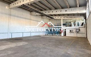 NECTORA IMOB-SpatiI industriale cu incalzire pe gaz,Acces TIR,Uzinelor - Poză 6