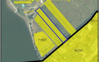 Teren Studiouri Buftea - Poză 4