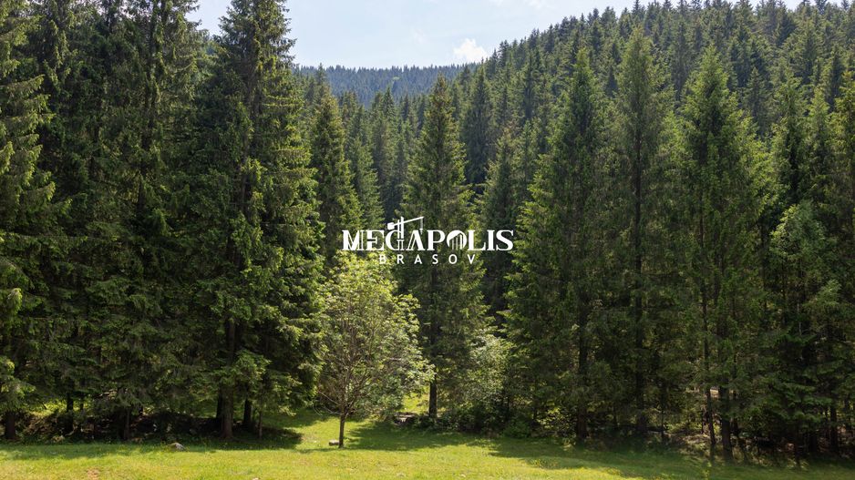 Pretabil Hotel,Pensiune,Case de Vacanta/Utilitati/PUZ - Poză 11