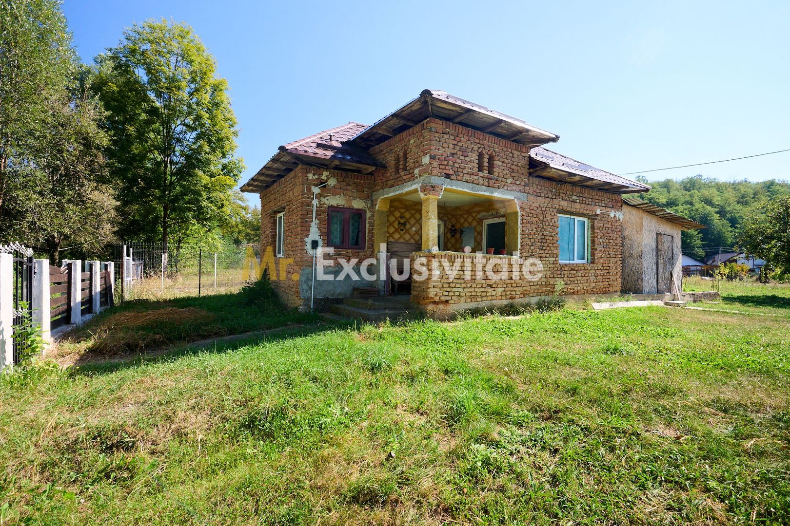 Proprietate deosebita cu doua case si teren generos – Cosesti, Arges - Poză 5