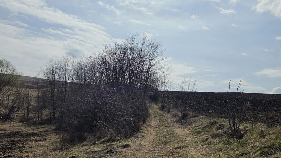 Teren de vanzare Pata Cluj - Poză 3