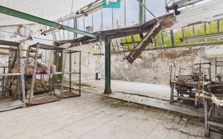 Spațiu de investiții 500 mp în Periam - Poză 8