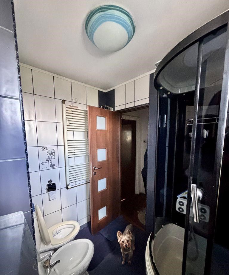 Apartament spatios cu doua camere, Aliorului, 80.000€ - Poză 4