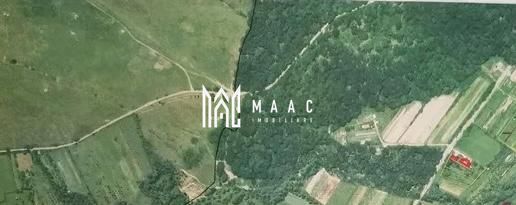 Teren | 19.300mp | Cisnadioara - Poză 2