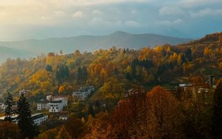 Apartament Premium, 3 Camere , Drumul Poienii– Stejăriș - Comision 0 - Poză 1