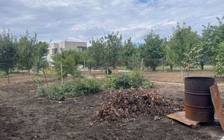 Teren de vanzare | Mogosoaia | 1252 mp - Poză 3