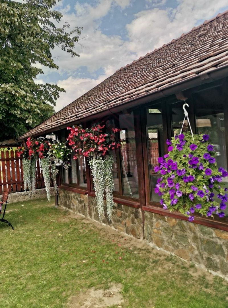 RESTAURANT DE VÂNZARE-COM. OBREJA\SAT IAZ\CARAȘ SEVERIN - Poză 16
