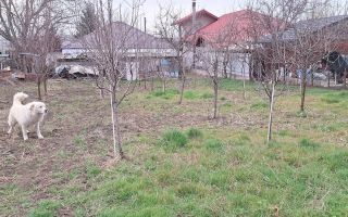 Casă de vânzare - Poză 2