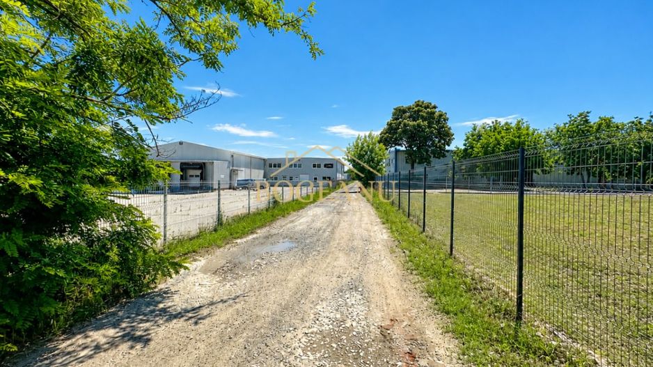 BG177-Teren industrial intravilan 5.000 mp | 120 ml front | Freidorf - Poză 3
