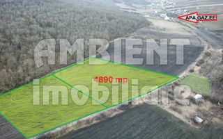 Teren intravilan 5.000 mp, VASLUI zona GURA BUSTEI; - Poză 1