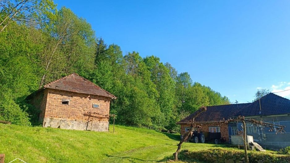 Casa de vacanta intr-o zona de vis, cu vedere la munte, sat Magulicea - Poză 3
