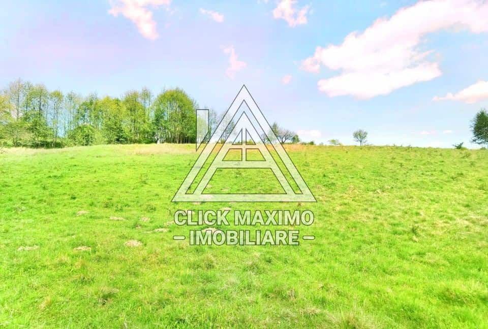 25.000 mp TEREN Ciucea – Calea Lata, jud. Cluj - Poză 2