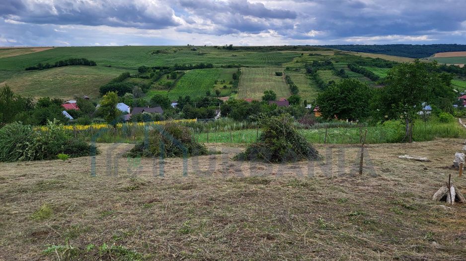 Teren intravilan 869 mp - Poză 3