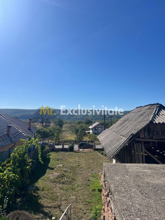 Teren 1128 intravilan + Casa batraneasca  Darmanesti Arges - Poză 2