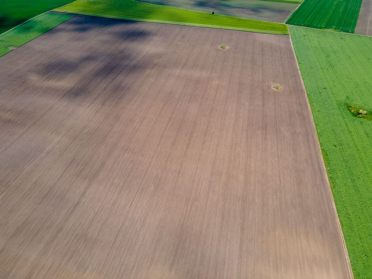 Teren de 5Ha în Satchinez. - Poză 8