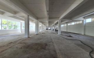 Hala Depozitare de Inchiriat Pitesti - Poză 4