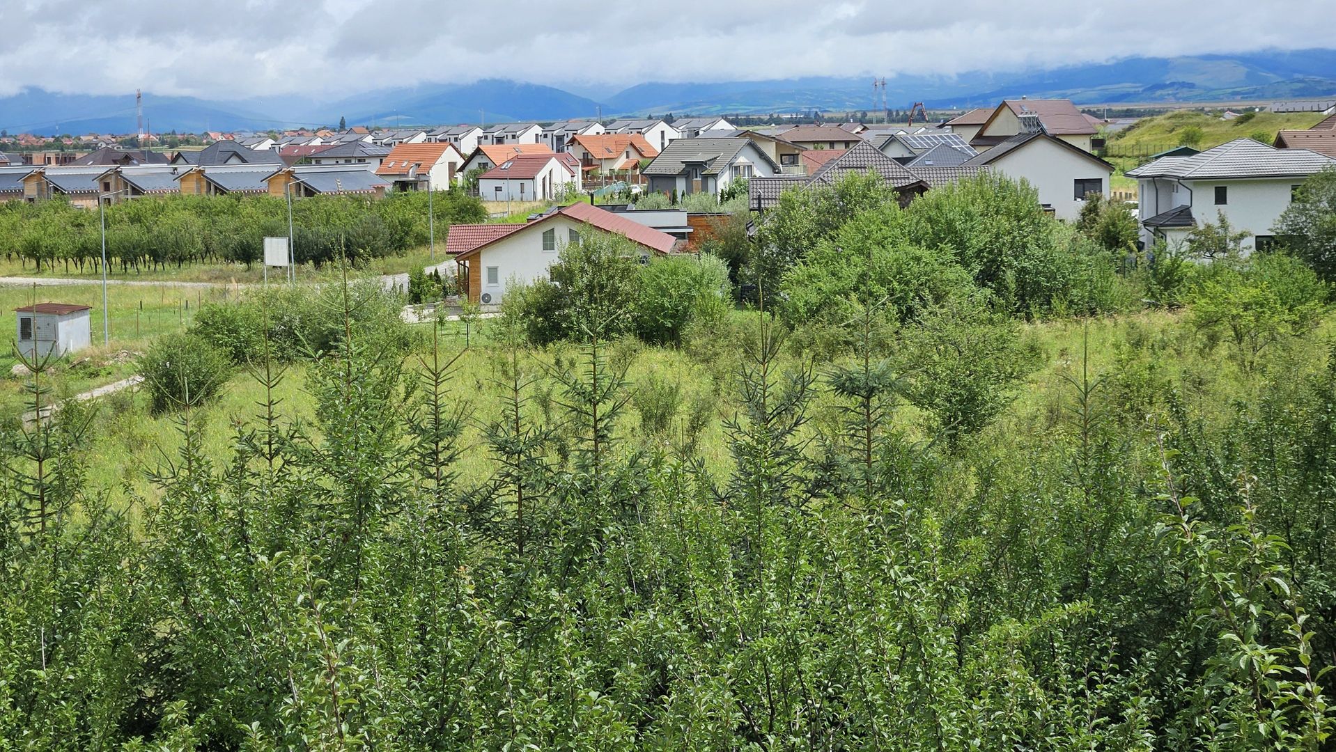 Vila noua-Sanpetru Dealul Lempes, zona verde si linistita - Poză 22