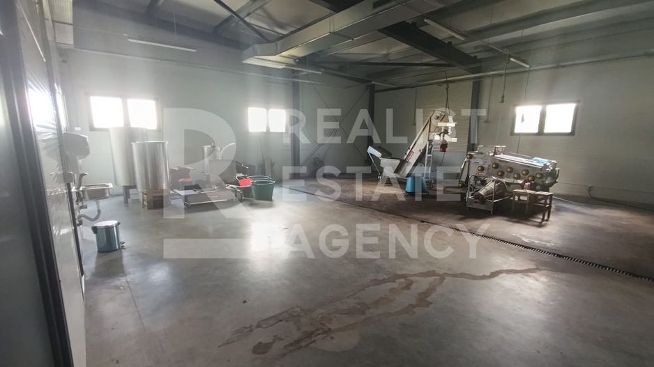 Spațiu comercial, producere+plantație de aronie, Timiș - Poză 6