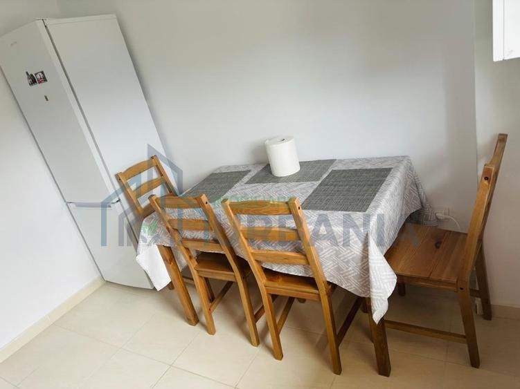 Apartament open space de închiriat, 1 cameră, Iași - Poză 8