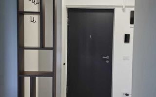 VAND APARTAMENT 1 CAMERA IN VISAN - Poză 3