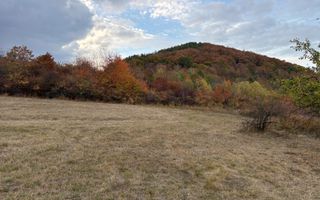 Teren de vânzare 5.000 mp | Poplaca | lângă pădure - Poză 3