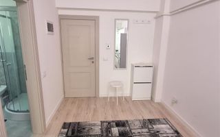 Apartament 1 camera Bucium-300Euro - Poză 8