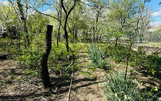 Ciarda Roșie | 2 case în curte | Teren 700 mp | Garaj | Toate utilitățile - Poză 7