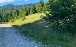 Teren 14400 mp la iesire din Rasnov inspre Pârâul Rece-Trei Brazi - Poză 7