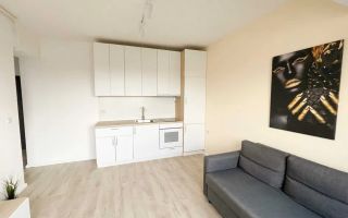 Apartament 2 camere de inchiriat - Poză 6