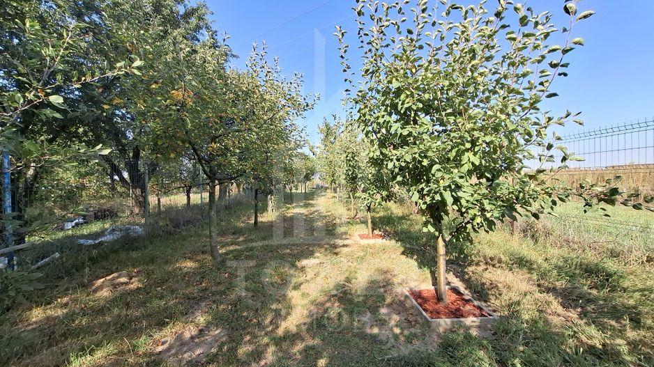 De vânzare casă în Orlat, cu teren generos de 2200 mp și panoramă deosebită! - Poză 18