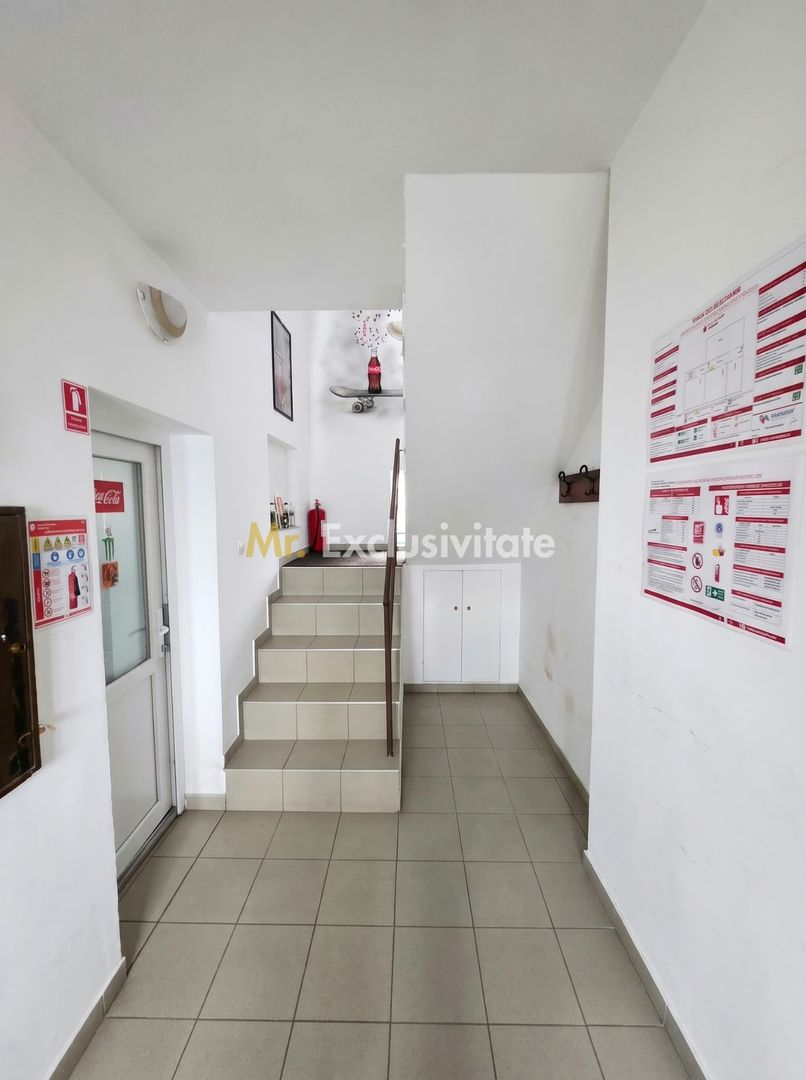 De Vânzare Casă P+M str Vulturului SM - Poză 3