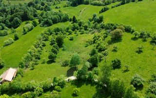 Teren Sohodol 5000 mp - Poză 2