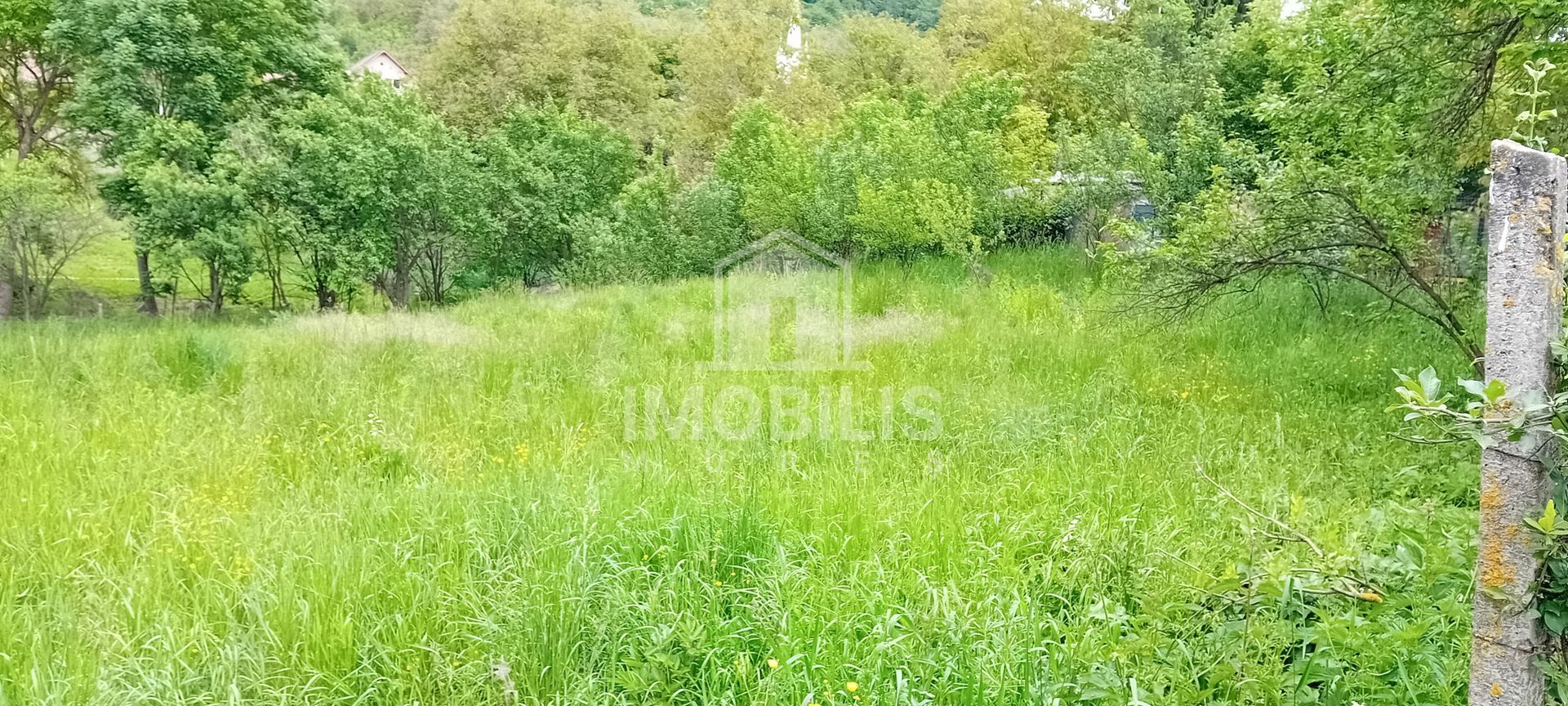 Teren intravilan | Budiu Mic | 994 mp - Poză 6