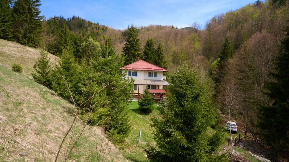 Casa Dambovicioara - CASA de vacanta sau PENSIUNE profitabila - Poză 1