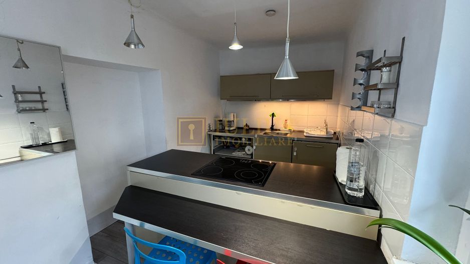 Zona Balcescu-Casa Individuala cu curte proprie - Poză 7