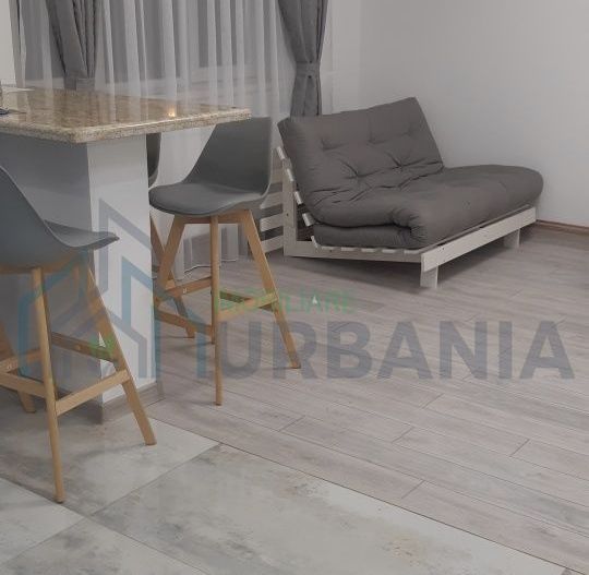 Apartament 2 camere, parter, cu vedere spre Parcul Copou, Iași - Poză 6