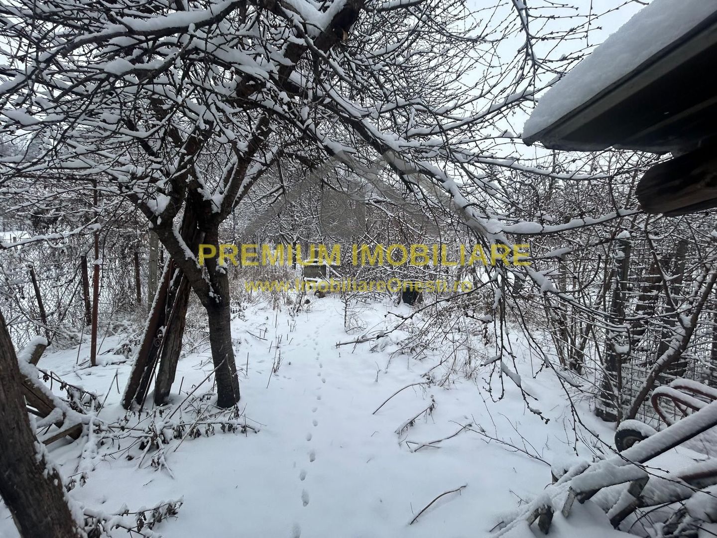 Casă batraneasca+ teren 999 mp intravilan în Oituz - Poză 18