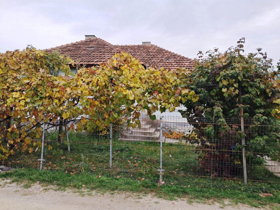 CASĂ SI TEREN BAIA DE FIER - Poză 2