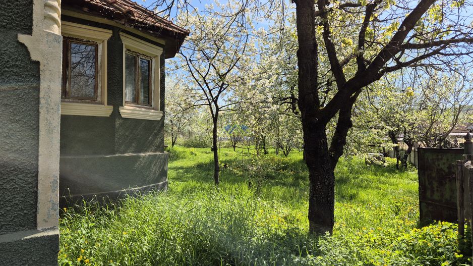 Vand casa 2 camere, 90mp, Silvasul de Jos, teren 1295, deschidere 62m - Poză 3