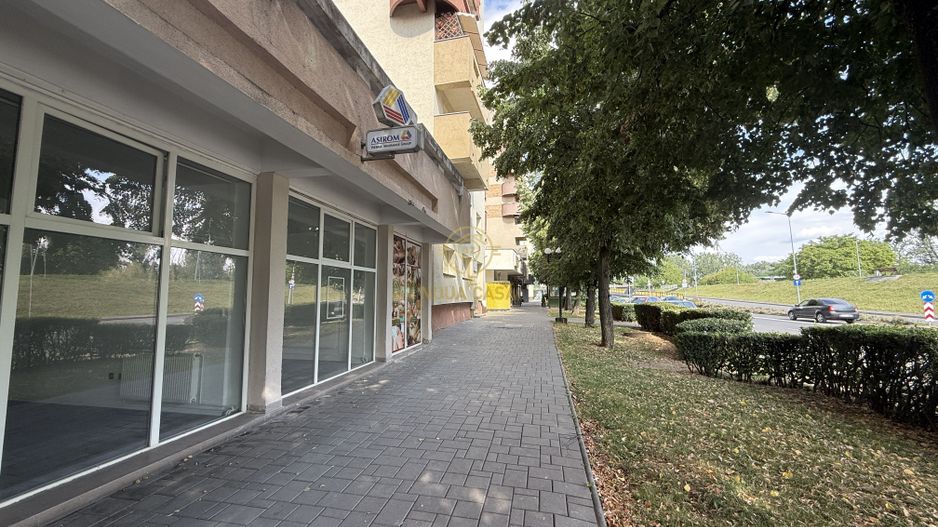 Spatii de Birouri/Comerciale de Inchiriat Bulevardul Transilvania - Poză 5