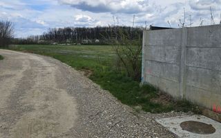 Teren Snagov Ciofliceni cu  pădurea la vedere - Poză 8