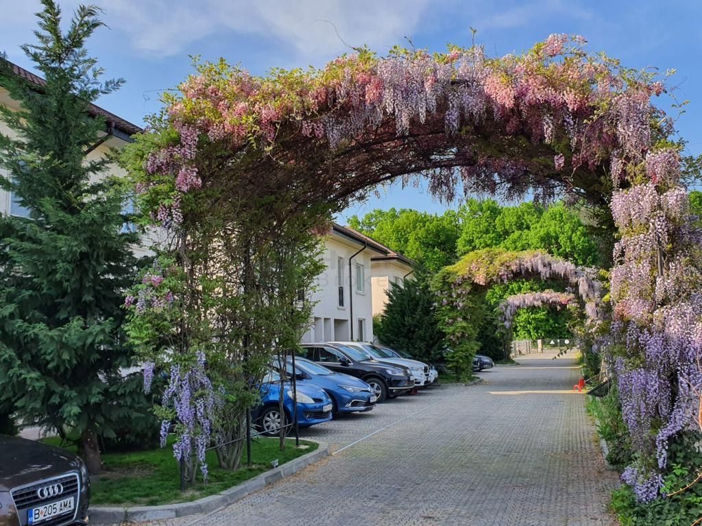 Avangarde Forest 4 - Vila 5 camere | Mobilata complet - Poză 38