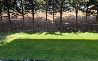 Apartament 3 camere de vanzare - structura tip vila, zona verde - Poză 8