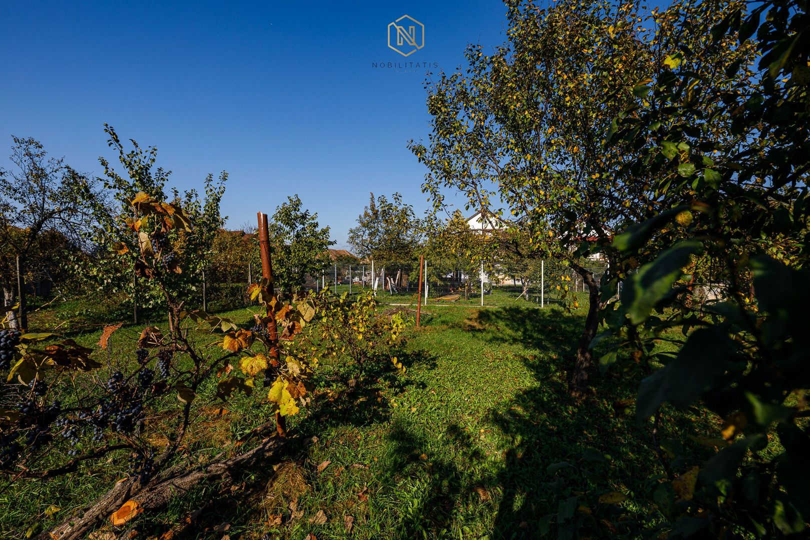 Pensiunea Bella Arad - O afacere profitabilă, la cheie! - Poză 40