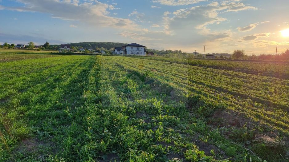 Teren intravila Ilișești - Poză 4