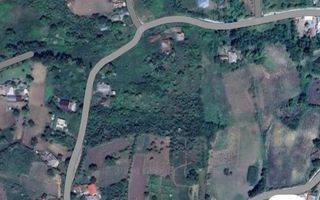 Teren intravilan 5.700 mp cu casa batraneasca, anexe si beci - Bogdanesti, com. Horlesti, Iasi - Poză 2