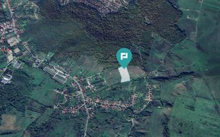 Teren fâneaţă lângă pădure - Hunedoara - Poză 3