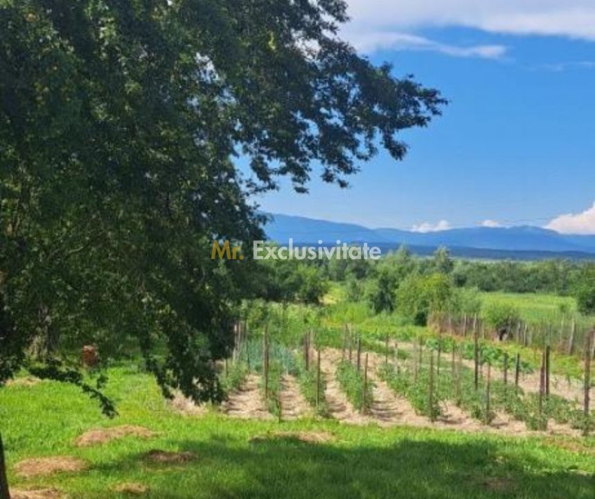 Proprietate cu potențial turistic și agricol | 7.661 mp|Șomanești-GORJ - Poză 3