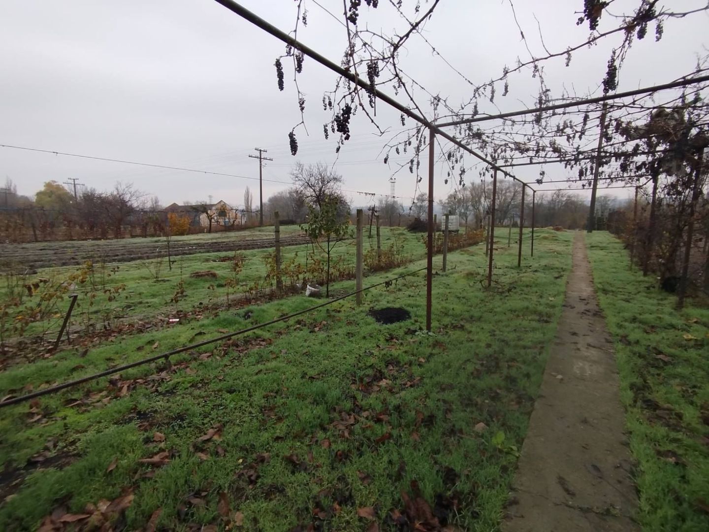 Casă de vânzare – 3 camere, teren generos 18 ari – Bulboaca, Anenii Noi - Poză 12